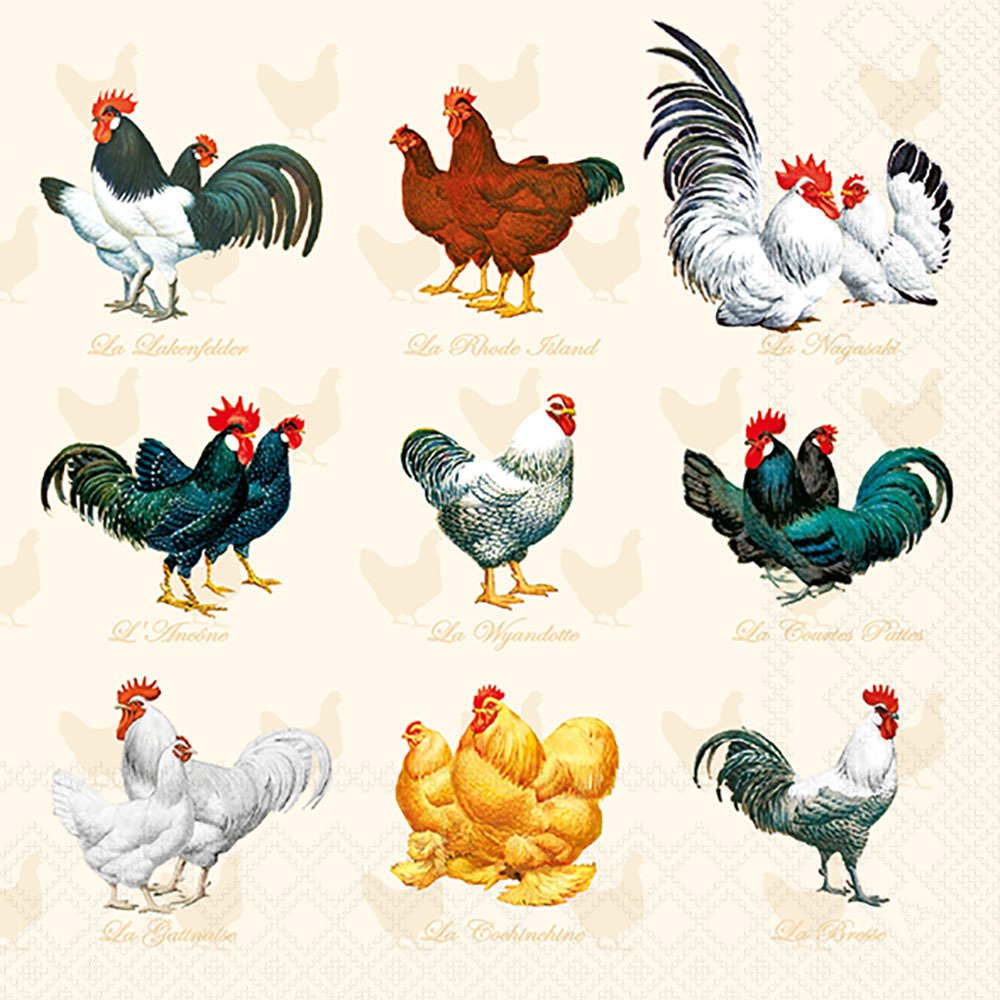 20 Servietten - 33 x 33 cm WYANDOTTE CREAM,  Tiere - Huhn / Hahn,  Everyday,  lunchservietten