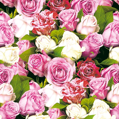 20 Servietten - 33 x 33 cm ROSES ALL OVER,  Blumen - Rosen,  Sommer,  lunchservietten