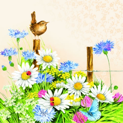 20 Servietten - 33 x 33 cm SPRING FEELING CREAM,  Tiere - Schmetterlinge,  Tiere - Vögel,  Blumen -  Sonstige,  Frühjahr,  lunchservietten