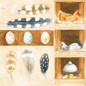20 Servietten - 33 x 33 cm POULTRY UNIT,  Tiere - Kücken,  Tiere - Huhn / Hahn,  Everyday,  lunchservietten,  Eier,  Federn