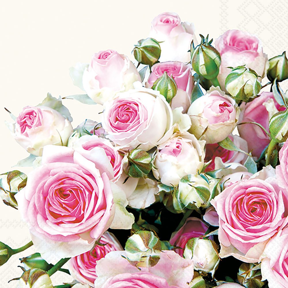20 Servietten - 33 x 33 cm MAXIMA CREAM,  Blumen - Rosen,  Sommer,  lunchservietten