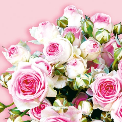 20 Servietten - 33 x 33 cm MAXIMA PINK,  Blumen - Rosen,  Sommer,  lunchservietten
