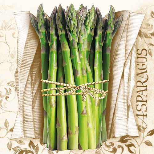 20 Servietten - 33 x 33 cm ASPERGES,  Sonstiges - Schriften,  Gemüse - Spargel,  Frühjahr,  lunchservietten