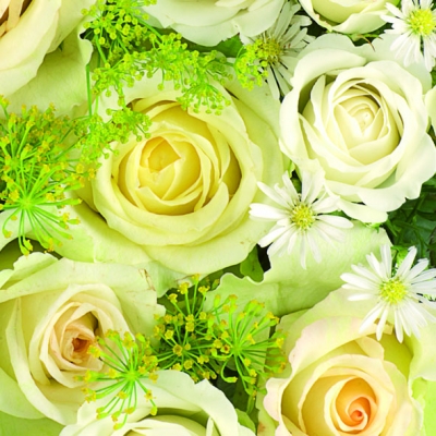 20 Servietten - 33 x 33 cm WEDDING ROSES, Ereignisse -  Sonstige,  Blumen -  Sonstige,  Blumen - Rosen,  Blumen,  Sommer,  lunchservietten,  Rosenstrauß
