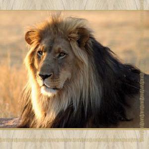 20 Servietten - 33 x 33 cm MATATA, Tiere - Löwen,  Regionen - Afrika,  Tiere -  Sonstige,  Regionen -  Sonstige,  Everyday,  lunchservietten