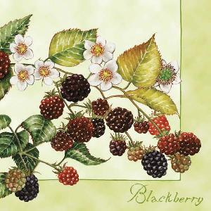20 Servietten - 33 x 33 cm BLACK BERRIES GREEN,  Herbst,  Früchte - Brombeeren,  Sommer,  lunchservietten