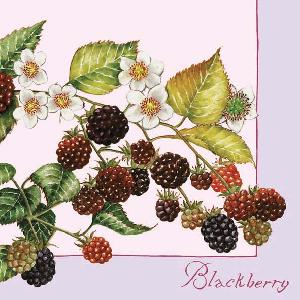 20 Servietten - 33 x 33 cm BLACK BERRIES LILA,  Früchte - Brombeeren,  Sommer,  lunchservietten