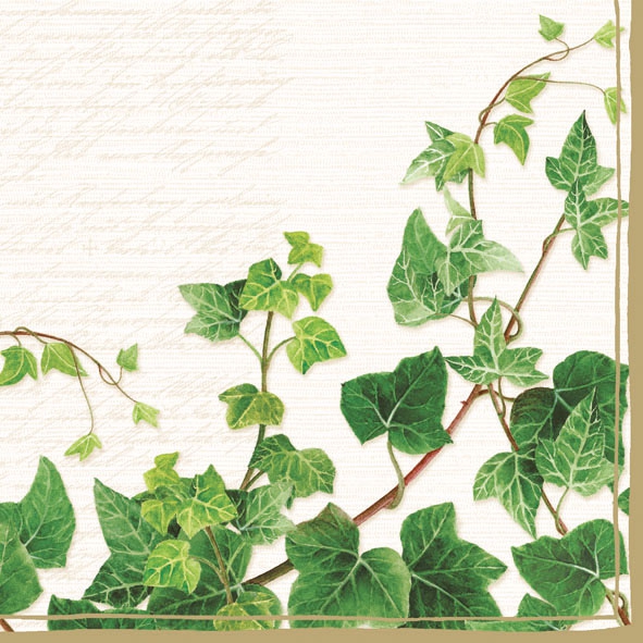 20 Servietten - 33 x 33 cm TENDRIL CREAM,  Sommer,  Pflanzen - Efeu,  Herbst,  Frühjahr,  lunchservietten