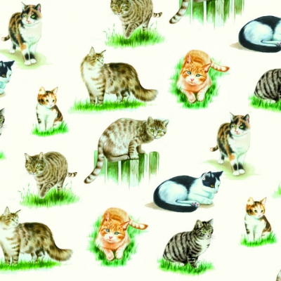 20 Servietten - 33 x 33 cm LOVELY CATS,  Tiere - Katzen,  Everyday,  lunchservietten