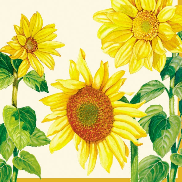 20 Servietten - 33 x 33 cm HELIANTHUS CREAM,  Blumen - Sonnenblumen,  Sommer,  lunchservietten