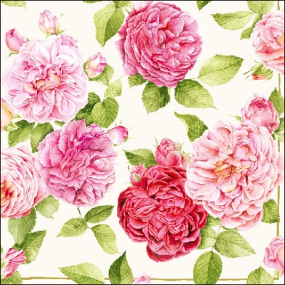 20 Servietten - 33 x 33 cm BEAUTIFUL ROSE CREAM,  Blumen - Rosen,  Sommer,  lunchservietten