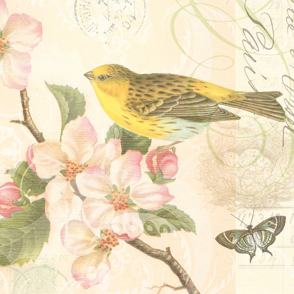 20 Servietten - 33 x 33 cm BIRD AND BLOSSOM,  Sonstiges - Muster,  Tiere - Vögel,  Tiere - Schmetterlinge,  Frühjahr,  lunchservietten,  Kirschblüte
