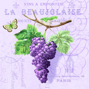 20 Servietten - 33 x 33 cm PURPLE GRAPES LILA, Sonstiges - Schriften,  Tiere - Schmetterlinge,  Regionen - Länder - Frankreich,  Früchte - Weintrauben,  Sommer,  lunchservietten