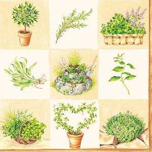 20 Servietten - 33 x 33 cm HERBS CREAM,  Blumen - Lavendel,  Essen - Gewürze,  Everyday,  lunchservietten,  Rosmarin,  Salbei