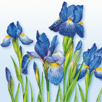 20 Servietten - 33 x 33 cm IRIS MEADOW,  Blumen -  Sonstige,  Sommer,  lunchservietten,  Sumpfiris
