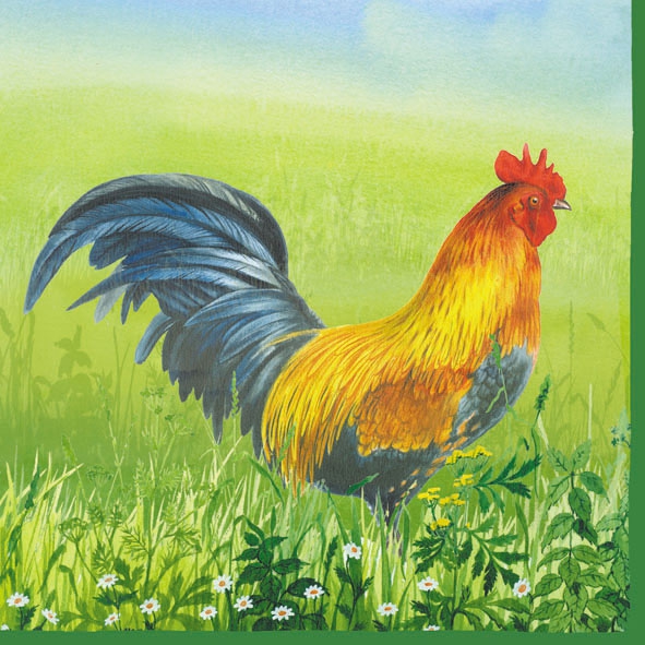 20 Servietten - 33 x 33 cm PROUD ROOSTER,  Regionen - Wald / Wiesen,  Tiere - Huhn / Hahn,  Sommer,  lunchservietten