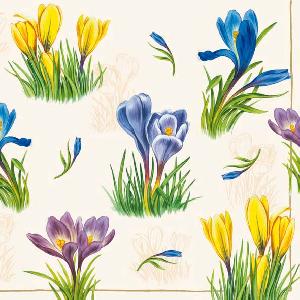 20 Servietten - 33 x 33 cm CROCUS CREAM,  Blumen - Krokus,  Frühjahr,  lunchservietten