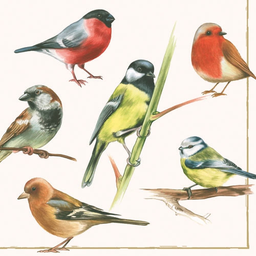 20 Servietten - 33 x 33 cm BIRDS,  Tiere - Vögel,  Everyday,  lunchservietten,  Buchfinken,  Spatzen,  Meisen,  Rotkelchen,  Gimpel,  Dompfaff