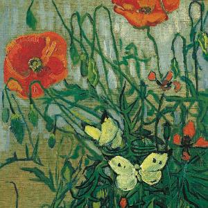 20 Servietten - 33 x 33 cm BUTTERFLIES & POPPIES,  Tiere - Schmetterlinge,  Blumen - Mohn,  Sommer,  lunchservietten