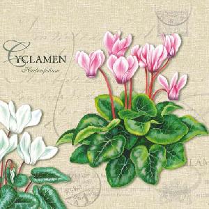 20 Servietten - 33 x 33 cm CYCLAMEN CREAM,  Blumen -  Sonstige,  Winter,  lunchservietten,  Alpenveilchen