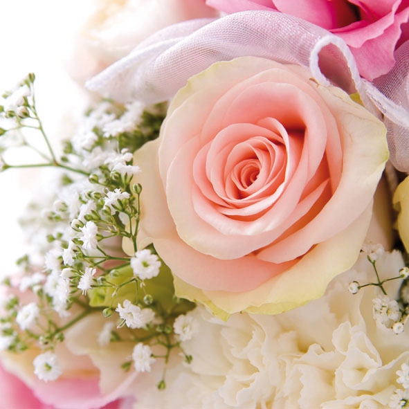 20 Servietten - 33 x 33 cm ROSE ROMANCE,  Blumen - Rosen,  Sommer,  lunchservietten