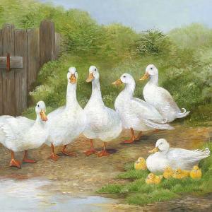 20 Servietten - 33 x 33 cm WHITE GOOSE,  Tiere,  Frühjahr,  lunchservietten,  Enten,  Kücken
