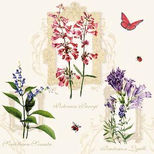 20 Servietten - 33 x 33 cm FLOWERS IN FRAMES,  Tiere - Schmetterlinge,  Blumen,  Frühjahr,  lunchservietten