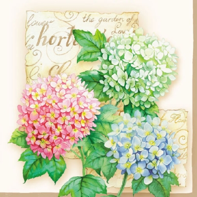 20 Servietten - 33 x 33 cm HORTENSIA,  Pflanzen,  Blumen,  Sommer,  lunchservietten,  Hortensien
