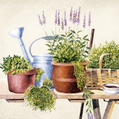 20 Servietten - 33 x 33 cm POTTING HERBS,  Pflanzen - Küchenkräuter,  Blumen - Lavendel,  Sommer,  lunchservietten