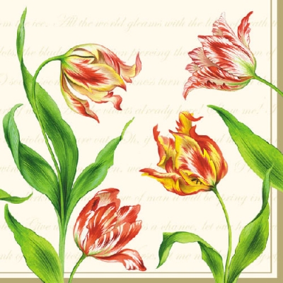 20 Servietten - 33 x 33 cm CLASSIC TULIPS CREAM,  Blumen - Tulpen,  Frühjahr,  lunchservietten