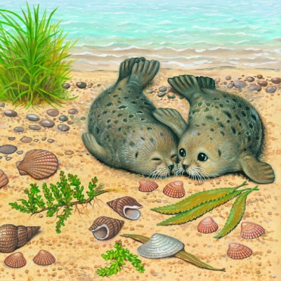 20 Servietten - 33 x 33 cm SEAL,  Regionen - Strand / Meer,  Tiere,  Regionen - Strand / Meer - Muscheln,  Sommer,  lunchservietten,  Heuler,  Seehunde