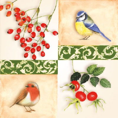20 Servietten - 33 x 33 cm BIRDS BERRIES,  Tiere - Vögel,  Früchte,  Herbst,  lunchservietten,  Hagebutten,  Rotkelchen,  Blaumeisen