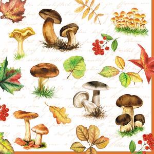 20 Servietten - 33 x 33 cm AUTUMN RANGE,  Herbst - Blätter / Laub,  Früchte - Pilze,  Herbst,  lunchservietten