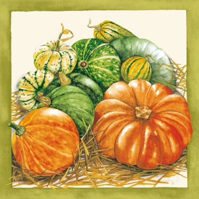 20 Servietten - 33 x 33 cm ZUCCA,  Früchte - Kürbisse,  Herbst,  lunchservietten