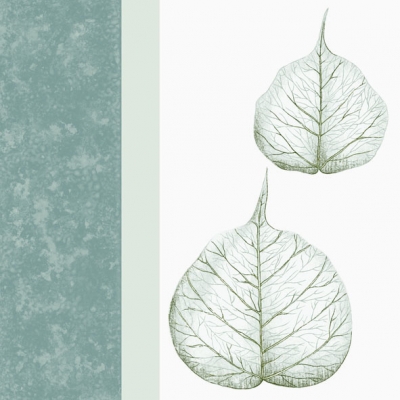 20 Servietten - 33 x 33 cm SKELETON LEAVES GREY,  Herbst - Blätter / Laub,  Herbst,  lunchservietten
