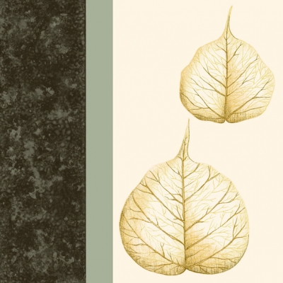 20 Servietten - 33 x 33 cm SKELETON LEAVES BROWN,  Herbst - Blätter / Laub,  Herbst,  lunchservietten