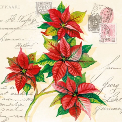 20 napkins - 25 x 25 cm CHRISTMAS GREETINGS,  Other - writings,  Christmas - Christmas-star,  Christmas,  cocktail napkins