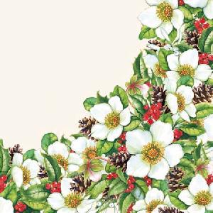20 Servietten - 25 x 25 cm HELLEBORUS CREAM,  Früchte - Zapfen,  Blumen - Christrosen,  Weihnachten,  cocktail servietten