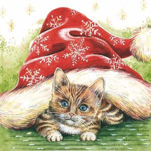 20 napkins - 33 x 33 cm CHRISTMAS KITTEN,  Winters - crystals / flakes,  Animals - cats,  Christmas,  lunchnapkins