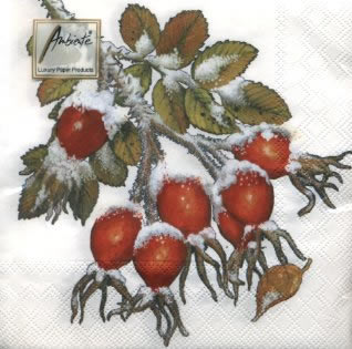 20 Servietten - 33 x 33 cm ROSE HIP,  Früchte -  Sonstige,  Winter - Schnee,  Weihnachten,  lunchservietten,  Hagebutten