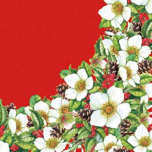20 Servietten - 33 x 33 cm HELLEBORUS RED,  Früchte - Zapfen,  Blumen - Christrosen,  Weihnachten,  lunchservietten