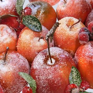 20 Servietten - 33 x 33 cm Schneeapfel,  Winter - Schnee,  Früchte - Äpfel,  Winter,  lunchservietten,  Beeren
