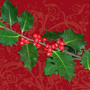 20 Servietten - 33 x 33 cm ,  Pflanzen - Ilex,  Winter,  lunchservietten