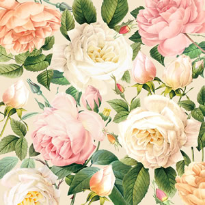 20 Servietten - 25 x 25 cm Gloria,  Blumen - Rosen,  Sommer,  cocktail servietten