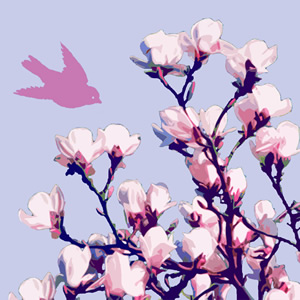 20 Servietten - 25 x 25 cm Magnolienzauber,  Tiere - Vögel,  Pflanzen -  Sonstige,  Frühjahr,  cocktail servietten,  Kirschblüte