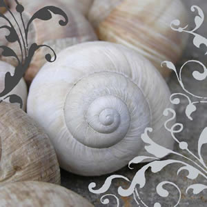 20 Servietten - 33 x 33 cm Pure Charme,  Sonstiges - Muster,  Sonstiges -  Sonstiges,  Everyday,  lunchservietten,  Schnecken
