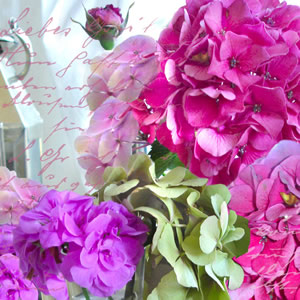 20 Servietten - 33 x 33 cm Pink Poesie,  Sonstiges - Schriften,  Blumen -  Sonstige,  Sommer,  lunchservietten,  Hortensien