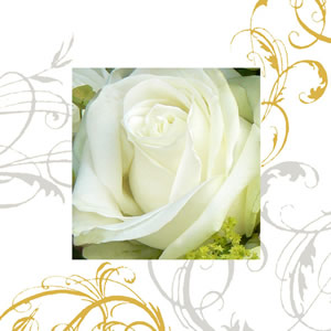 20 Servietten - 33 x 33 cm Principessa,  Blumen - Rosen,  Sommer,  lunchservietten