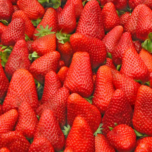 20 Servietten - 33 x 33 cm Erdbeerernte,  Früchte - Erdbeeren,  Frühjahr,  lunchservietten