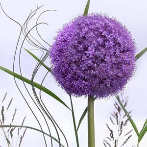 20 Servietten - 33 x 33 cm Purple Moon,  Blumen -  Sonstige,  Sommer,  lunchservietten